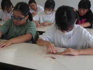 IMG_5675.jpg