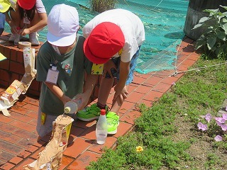 IMG_5874.jpg