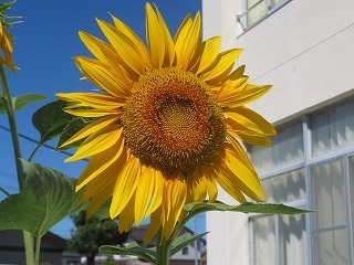IMG_5983.jpg