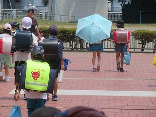 IMG_5981.jpg