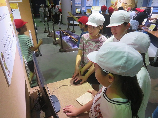 IMG_6151.jpg