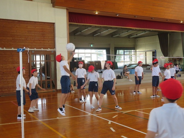 IMG_6184.jpg