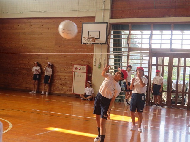 IMG_6195.jpg