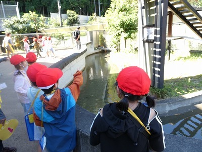 P1000299.jpg