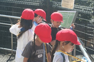 IMG_3135.jpg