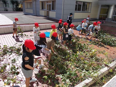 DSCN3433.jpg